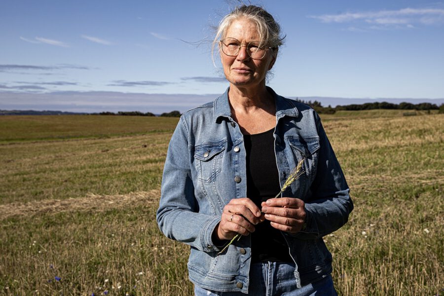 Billede fra MEDIAPOINTs arbejde for ORIGENAL