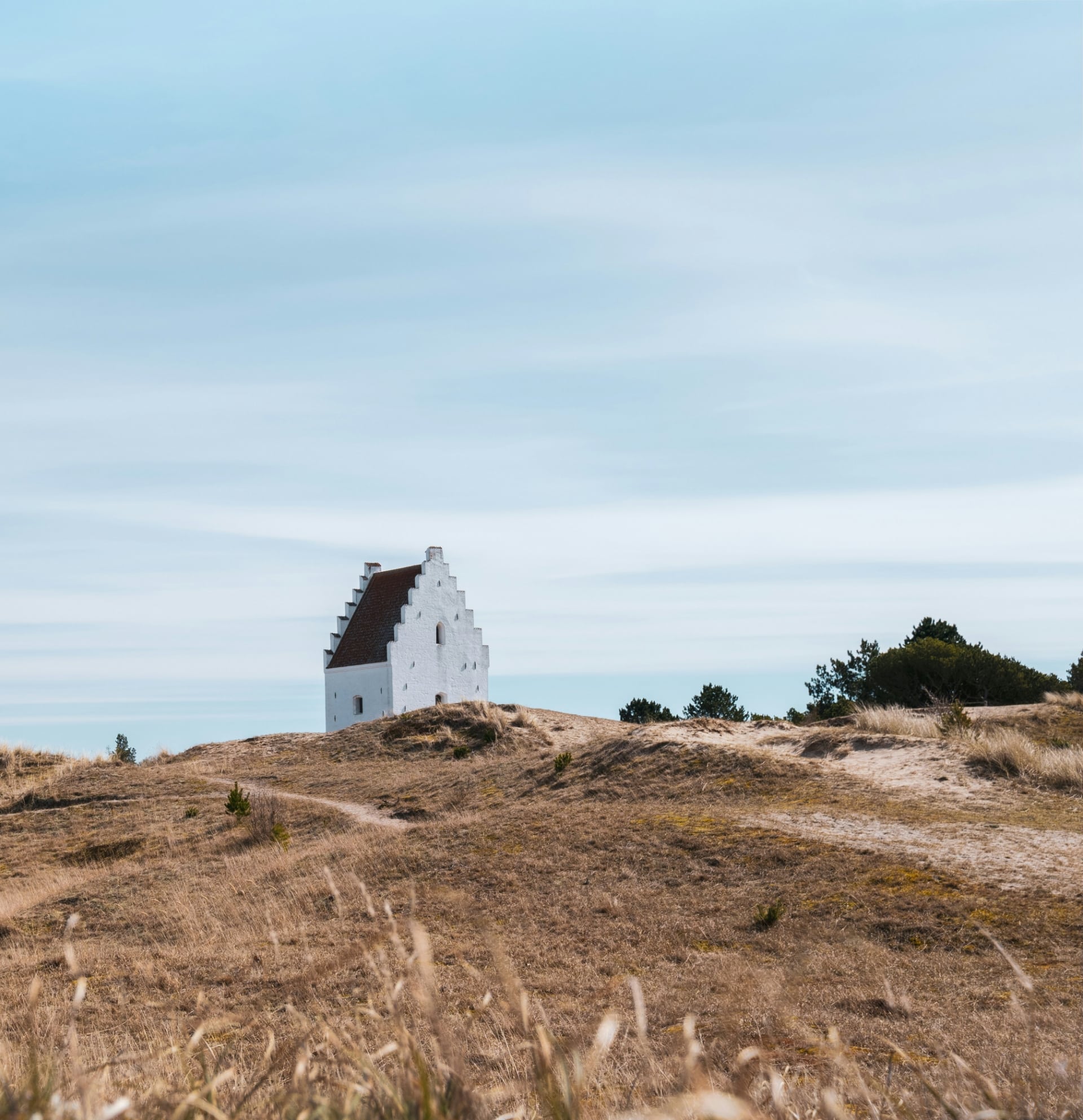 Billede fra MEDIAPOINTs arbejde for Skagen Nyt