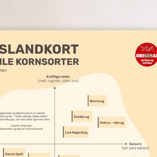 Tryksag udviklet af MEDIAPOINT for Origenal