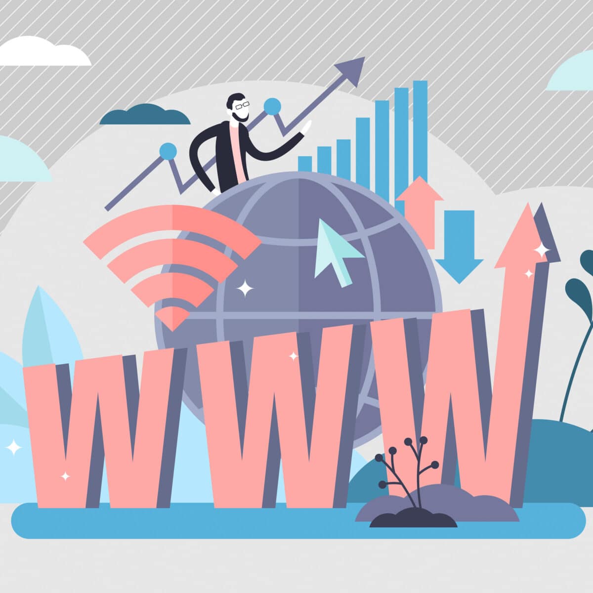 Top level domain (TLD)