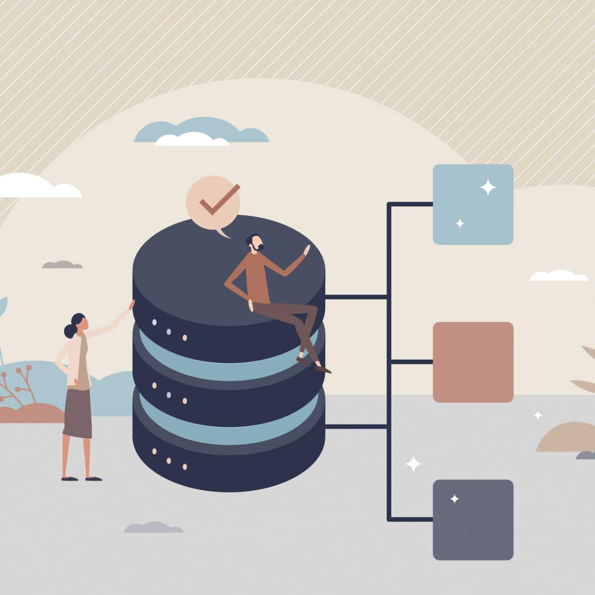 Data Enrichment
