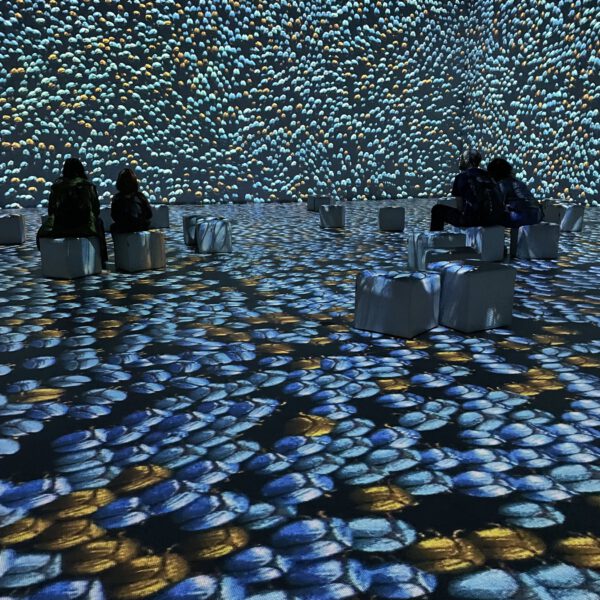 Kollegaer fra MEDIAPOINT i en digital installation i Barcelona